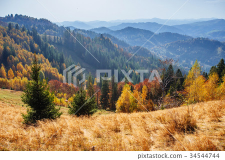 Scenic Autumn Landscape 34544744
