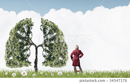 Protect forests 34547178