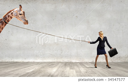 Protect animals Protect animals 34547577