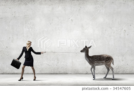 Protect animals Protect animals 34547605