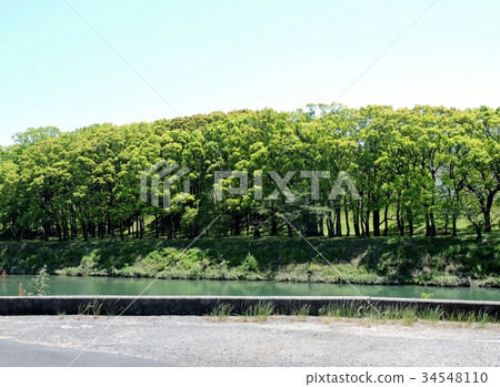 Tsubaki Wakaba Park Tsubaki Wakaba Park 34548110