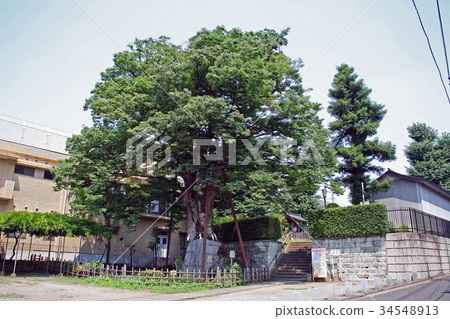 Nerima Hakusan Shrine 34548913