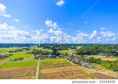 Aerial view of Awazawa-cho Kaminogo Chorakuji Temple 34549939