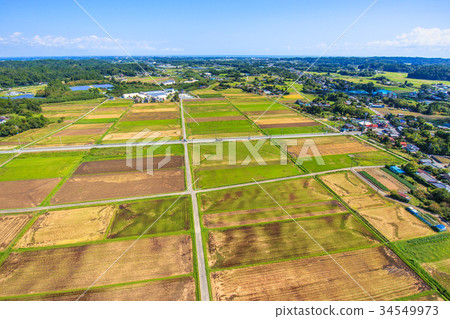 Aerial view of Awazawa-cho Kaminogo Chorakuji Temple 34549973