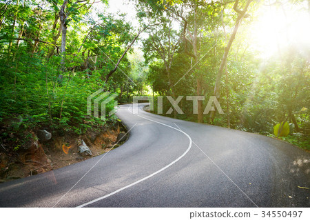 Beautiful asphalt road in palm jungle. Beautiful asphalt road in palm jungle. 34550497