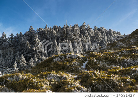 合歡山 34551427