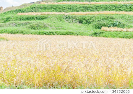 卓有成效的秋天 34552095