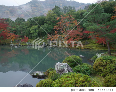 Momiji _ Sao Gen池塘花園_Tenryu-ji 34552253