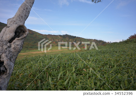 秋葉Myoko的Kurosawaike 34552396