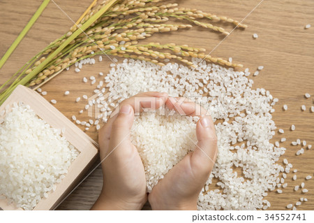 Fresh rice and rice ears and children's hands Fresh rice and rice ears and children's hands 34552741
