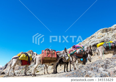 Caravan in Cordillera 34553829