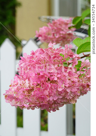 White fence and red stained minazuki 34554734