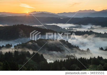 Yamakoshi, Nagaoka City, Niigata Prefecture, the sea of clouds and sunrise 34555531