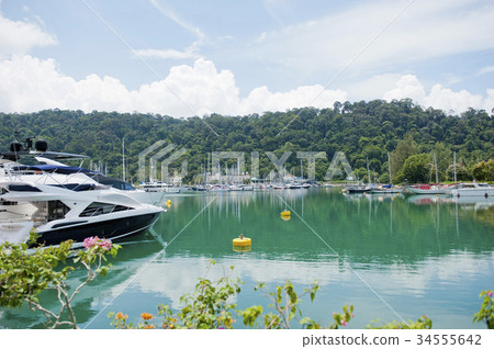 潘泰公雞 34555642