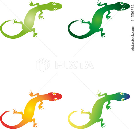 Lizard, salamander, gecko, animal, logo Lizard, salamander, gecko, animal, logo 34556781