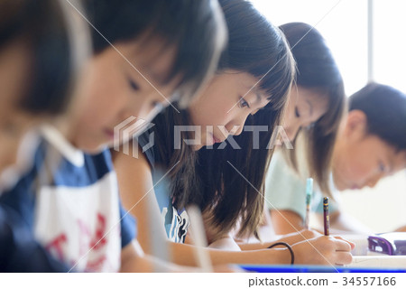 School-Learning-Study-Examination 34557166