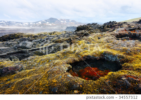Lavas field in the geothermal valley 34557312