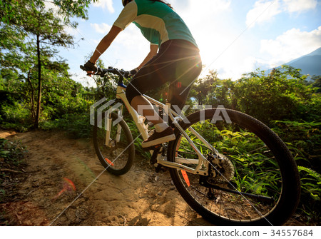 woman cyclist cycling on summer forest trail woman cyclist cycling on summer forest trail 34557684