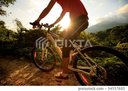 woman cyclist cycling on summer forest trail woman cyclist cycling on summer forest trail 34557685