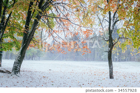 first days of winter first days of winter 34557928