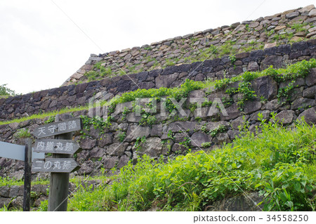 米子城堡遺址 34558250