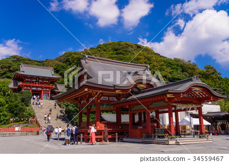  Tsuruoka Hachimangu Shrine, Maiden, Oishi-dan, Hongu 34559467