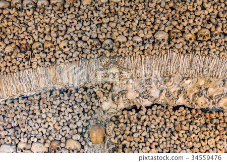 在牆壁葡萄牙的一邊的頭骨埃武拉骨骼教堂 34559476