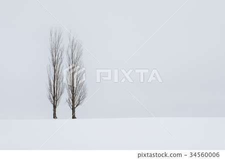 Snow Hill Snow Hill 34560006