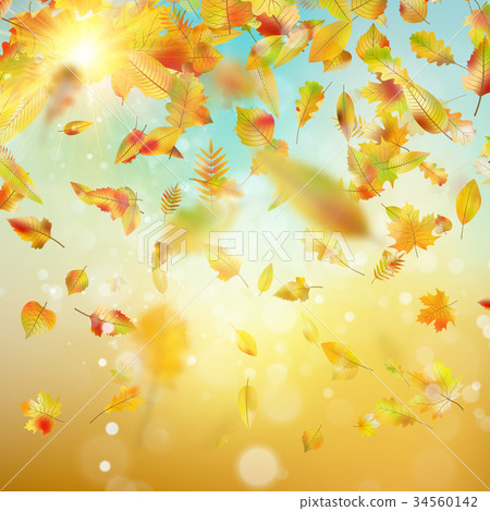Autumn background with leaves. EPS 10 vector 34560142