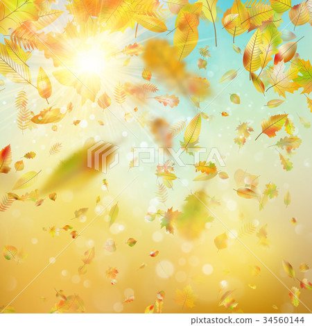 Autumn festive background. EPS 10 vector 34560144