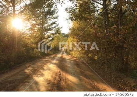 sunset in the autumn forest sunset in the autumn forest 34560572