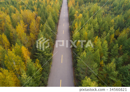 aerial shot of colorful autumn forest landscape aerial shot of colorful autumn forest landscape 34560821