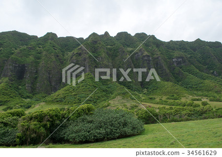 夏威夷瓦胡島古蘭尼牧場電影拍攝地 夏威夷瓦胡島古蘭尼牧場電影拍攝地 34561629