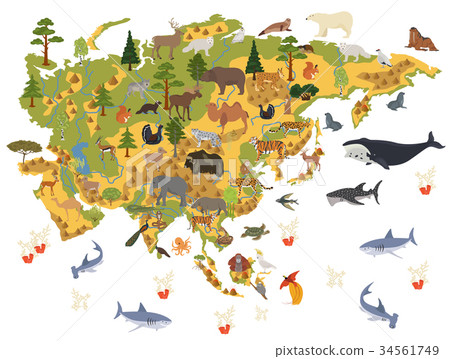 Flat Asian flora and fauna map constructor element Flat Asian flora and fauna map constructor element 34561749