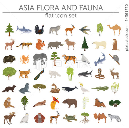Flat Asian flora and fauna map constructor element Flat Asian flora and fauna map constructor element 34561750