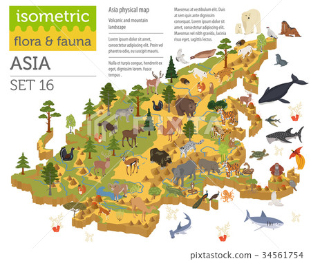 Isometric 3d Asian flora and fauna map constructor Isometric 3d Asian flora and fauna map constructor 34561754