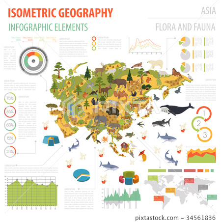 Isometric Asian flora and fauna map constructor Isometric Asian flora and fauna map constructor 34561836