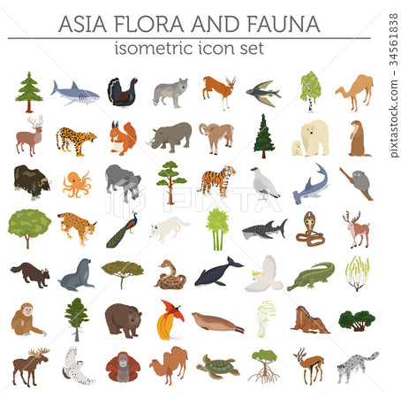 Isometric 3d Asian flora and fauna map constructor Isometric 3d Asian flora and fauna map constructor 34561838