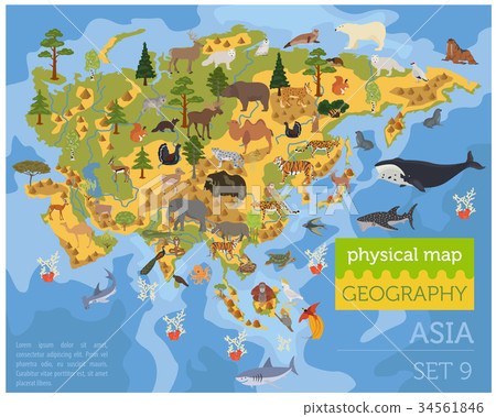 Flat Asian flora and fauna map constructor element Flat Asian flora and fauna map constructor element 34561846