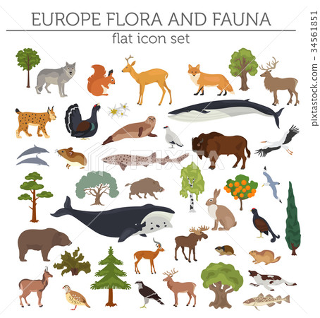Flat European flora and fauna map constructor 34561851