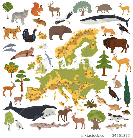Flat European flora and fauna map constructor  34561853