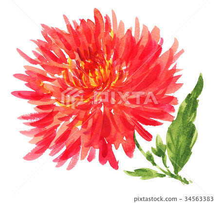 illustration, autumn, autumnal 34563383