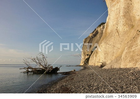 Morning scene at Moens Klint, Denmark. 34563909