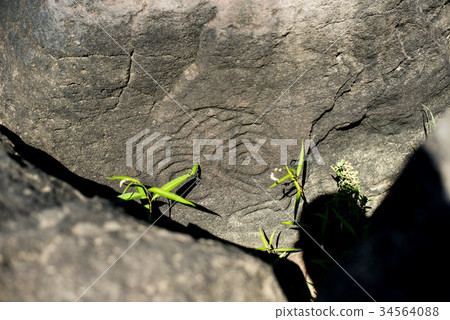 Ancient Petroglyph is located in the Sikhote-Alin Ancient Petroglyph is located in the Sikhote-Alin 34564088
