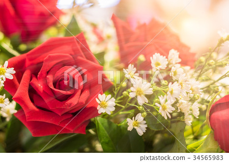 圖庫照片: close up red roses bouquet