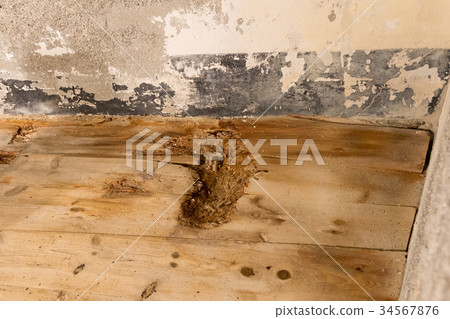 Water damaged floor and wall Water damaged floor and wall 34567876