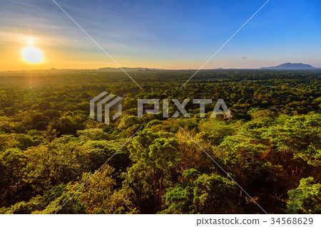 Aerial view of tropical forest of Sri Lanka Aerial view of tropical forest of Sri Lanka 34568629
