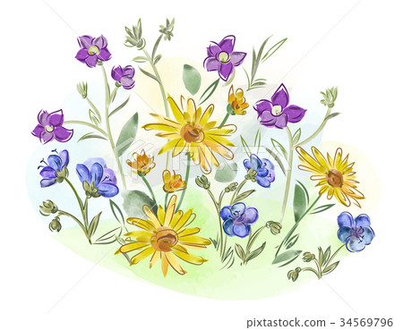 Watercolor flowers violets and pansy and leaves on 34569796