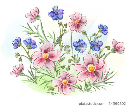 Watercolor flowers violets and pansy and leaves on Watercolor flowers violets and pansy and leaves on 34569802