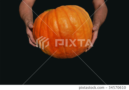 A large orange ripe pumpkin A large orange ripe pumpkin 34570610